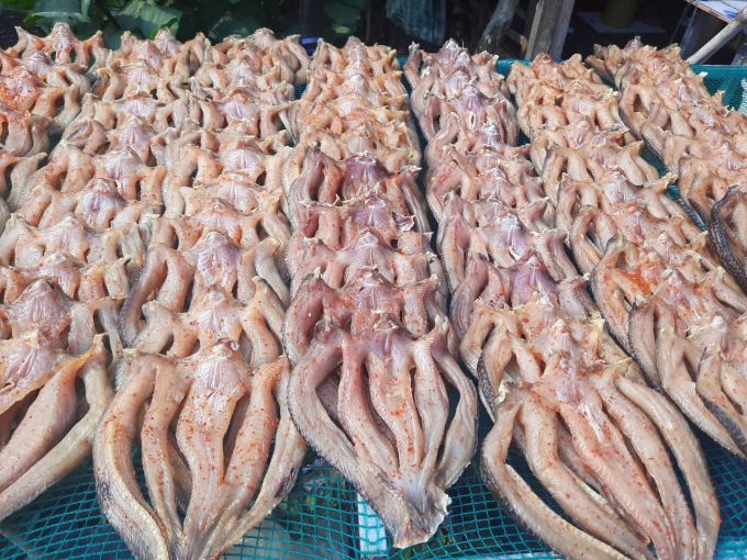 Từng con cá lóc làm sạch, tẩm ướp gia vị đem phơi dưới ánh nắng mặt trời