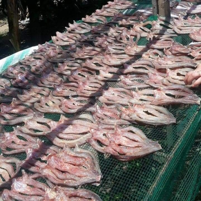 Nắng càng lớn thành phẩm càng thơm ngon