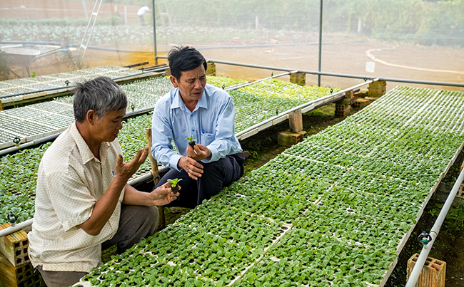 Ông Đặng Văn Khánh (bên trái) giới thiệu về vườn ươm tại nhóm cùng sở thích sản xuất RAT Vĩnh Sơn. Ảnh: VP Dự án RAT Bình Định