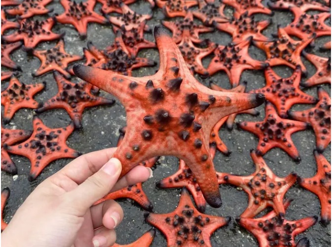376