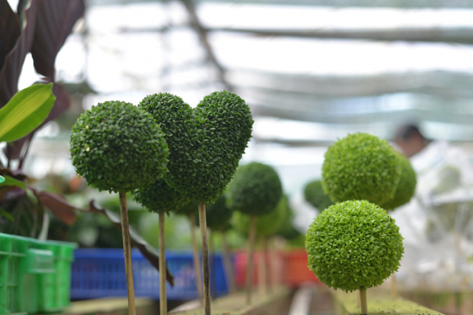 images2495797_a4_23