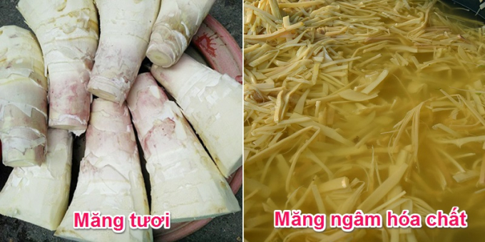 Măng tự nhiên có màu hơi thâm đen, măng ngâm hóa chất có màu trắng phau hoặc vàng đậm.
