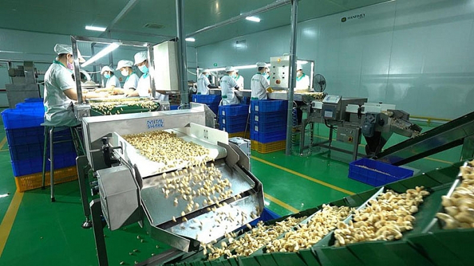Xuất khẩu điều tăng trưởng cả về sản lượng và giá trị trong 5 tháng đầu năm.