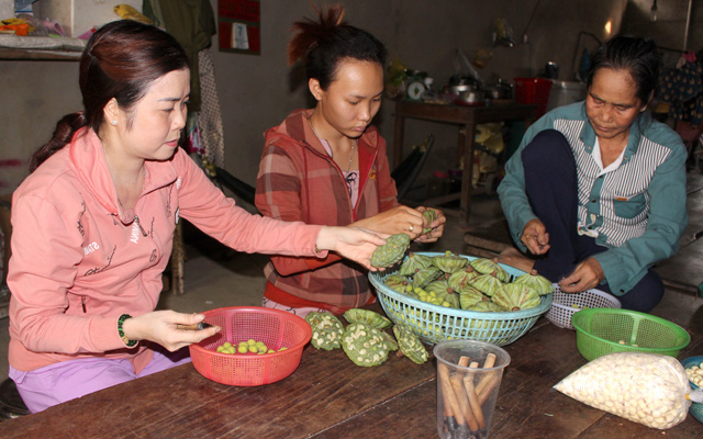 Bà Lệ (trái) cùng các nhân công sơ chế hạt sen. Ảnh Phan Anh
