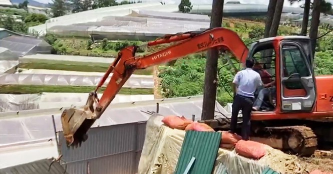 Giải tỏa các nhà kính xây trái phép trên đất rừng.