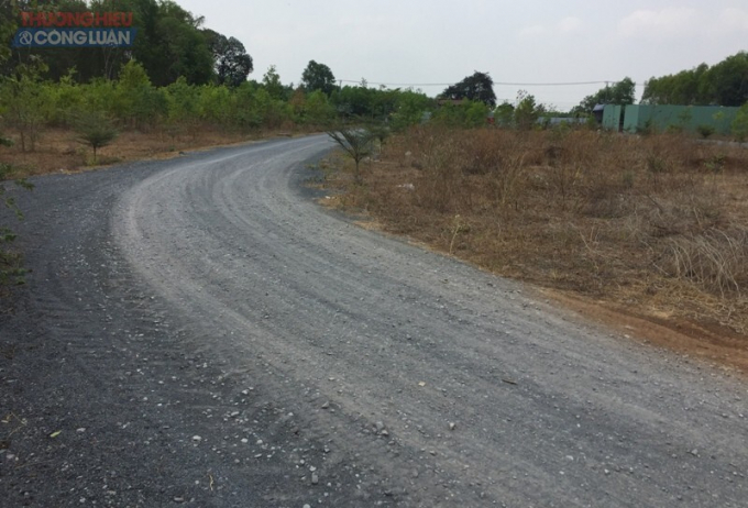 Thửa đất 62, tờ bản đồ số 19 ở ấp Tân Lập là đất nông nghiệp nhưng chủ đầu tư đã làm đường, phân lô để bán (Ảnh: N.D)