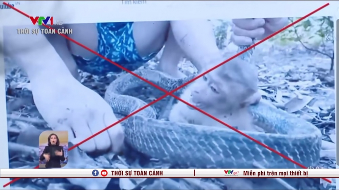 Kênh YouTube Hậu Cáo TV gây phản cảm với các video hành hạ động vật, máu me, ngôn từ kích động. (Ảnh: VTV)