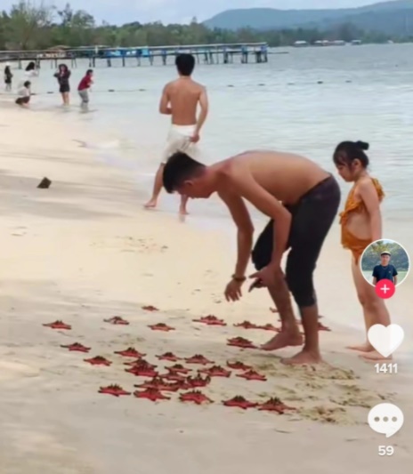 Du khách bắt sao biển lên bờ chụp ảnh gây ảnh hưởng xấu đến môi trường biển ở Phú Quốc. Ảnh: S.N.