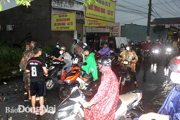 images2450510_H4