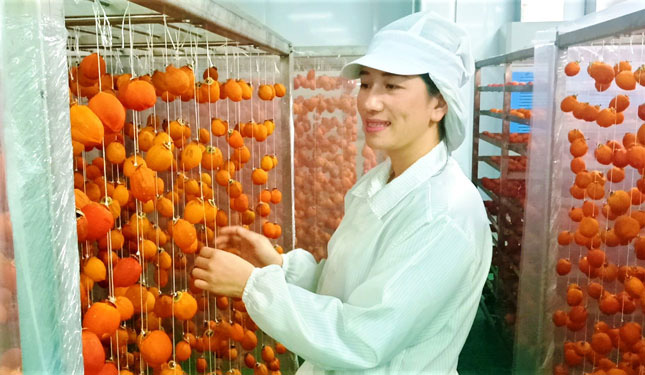 quả hồng sấy