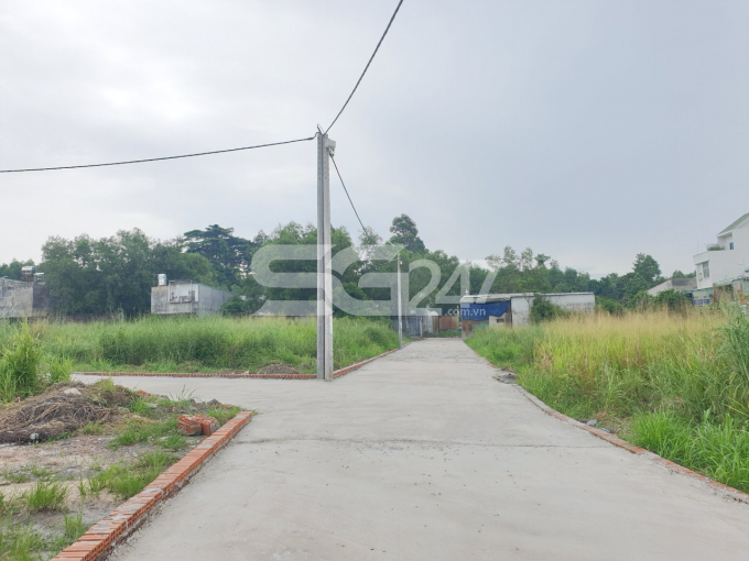 Một góc ảnh tại thửa đất 139 tờ bản đồ số 55