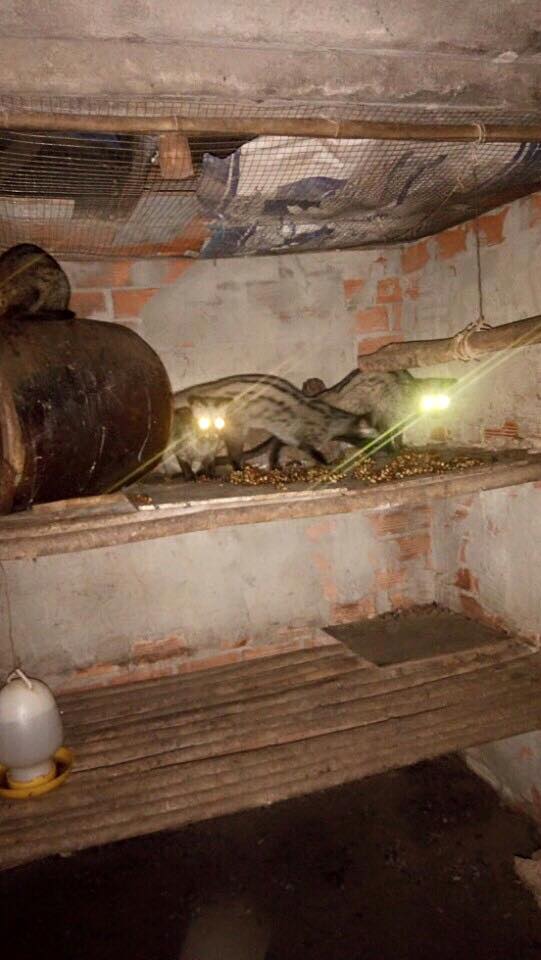 Quy trình xử lý nghiêm ngặt