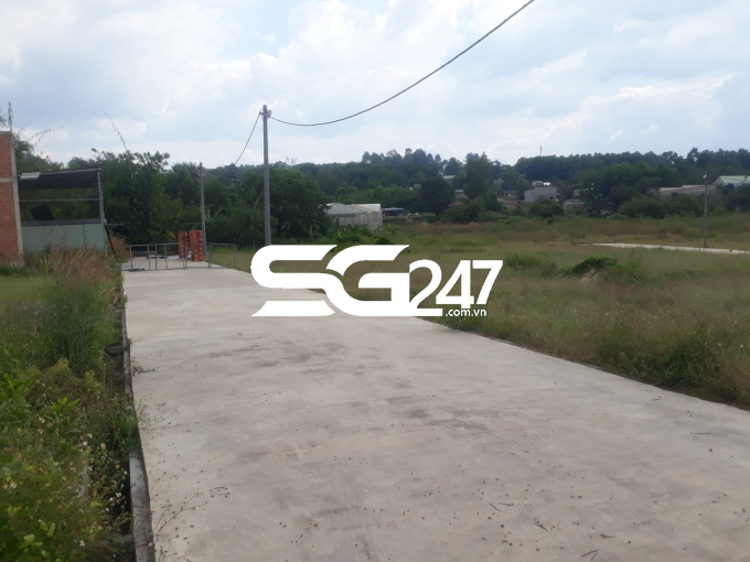Hai thửa đất với diện tích gần 9.000m2 đang được lập sơ đồ phân lô