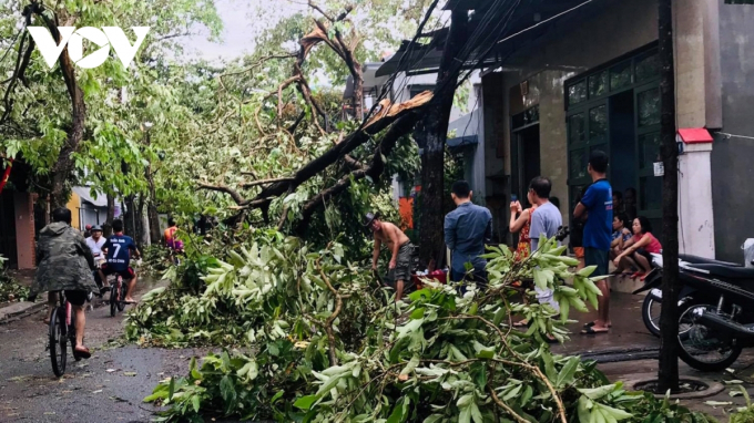 Cây cối đổ ngổn ngang ở thành phố Huế