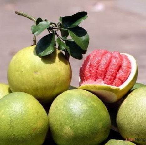buoi-da-xanh-ben-tre