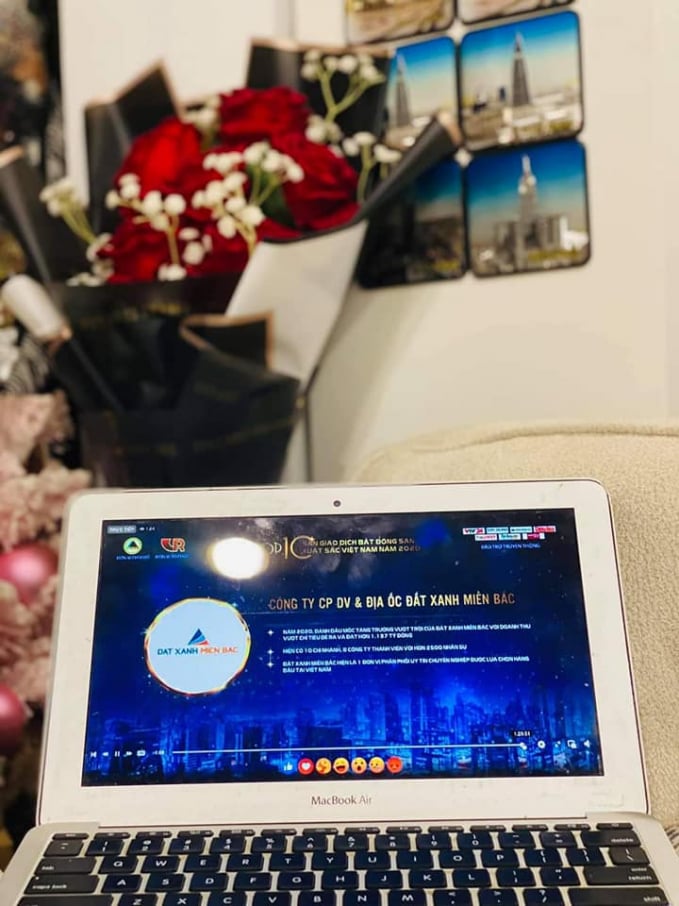 xanh miền bắc