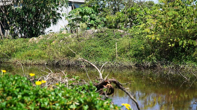 Chưa biết đến bao giờ mảnh đất hoang hóa do thi công dang dở này mới hình thành nên trường học mới