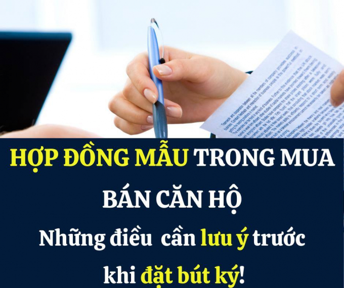 hop-dong
