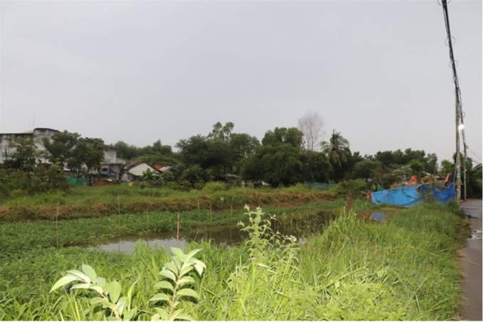 Khu đất thực hiện dự án đã bỏ hoang hàng chục năm qua. Ảnh: HC