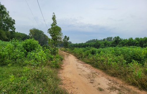 Một phần khu đất của bà Ánh tồn tại một lúc hai sổ đỏ