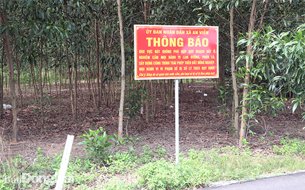 UBND xã An Viễn (H.Trảng Bom) cắm biển cảnh báo ở những khu vực đất nông nghiệp có nguy cơ xảy ra phân lô, bán nền cho người dân biết, không mua phải. Ảnh: H.Giang