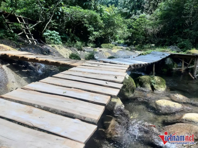 Cây cầu gỗ lắp đặt trái phép trong khu vực rừng phòng hộ vẫn còn nguyên.(Ảnh: Thanh Hà)