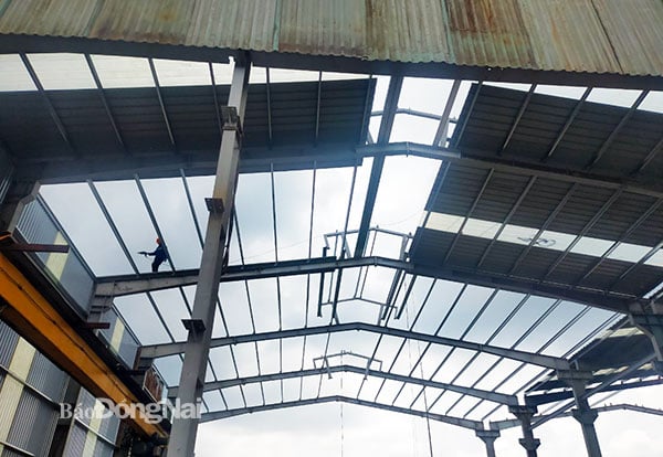 Công trình nhà xưởng xây dựng trái phép
