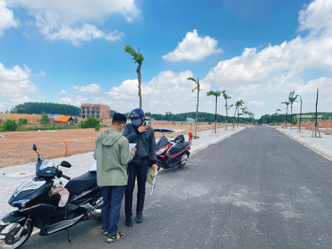 Cò đất hoạt động sôi nổi. Ảnh ghi nhận 2021