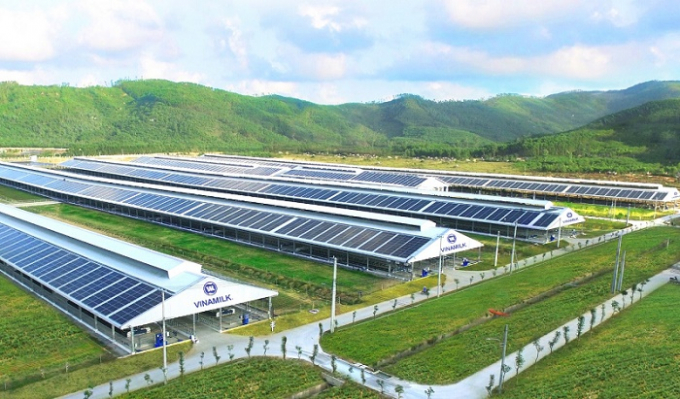 Trang trại xanh của Vinamilk trong chiến lược phát triển bền vững.