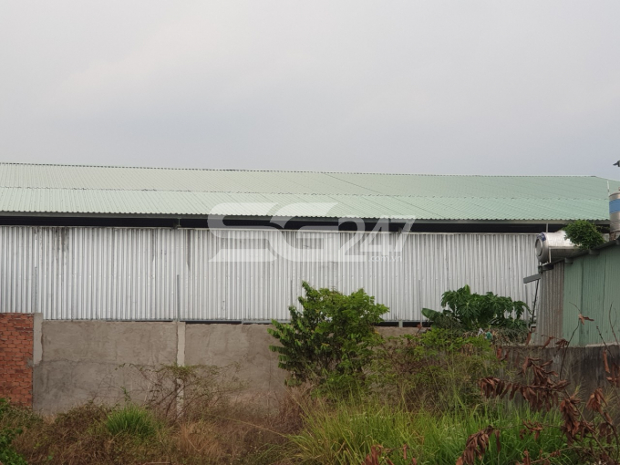 Một khu nhà xưởng rộng lớn trên diện tích hơn 5000 m2 đất nông nghiệp đang được hộ gia đình ông Trần Văn Quang xây dựng nhưng chính quyền địa phương không hề hay biết