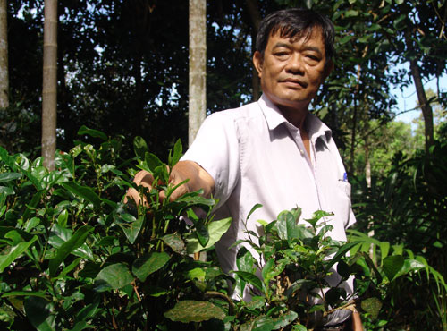 Ông Nguyễn Thái Ly - một nông dân trồng trà ở xã Phú Hội, Đồng Nai.