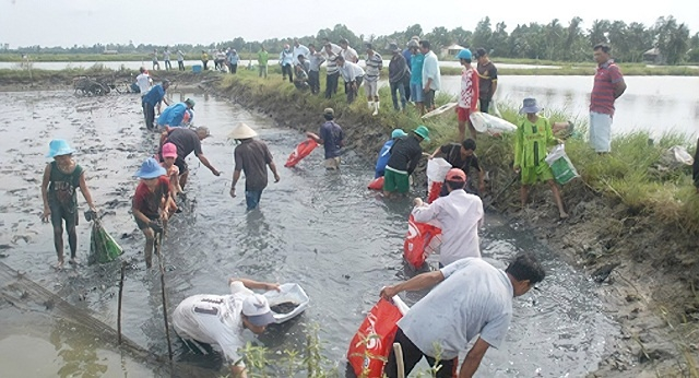 Với điều kiện sinh thái đặc thù đã giúp cho Hồng Dân hội tụ nhiều tiềm năng, thế mạnh để phát triển cả con tôm và cây lúa.