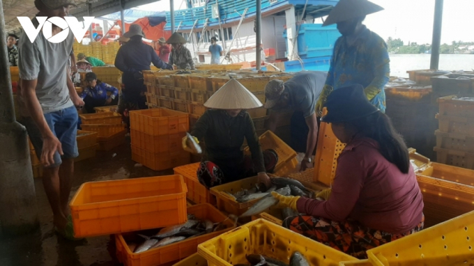 Hàng thủy sản tại Tiền Giang khan hiếm, giá tăng cao.
