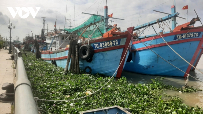 Đoàn tàu đánh bắt hải sản của ngư dân Thành phố Mỹ Tho vào bờ neo đậu chưa biết ngày ra khơi.
