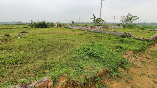 Cơn