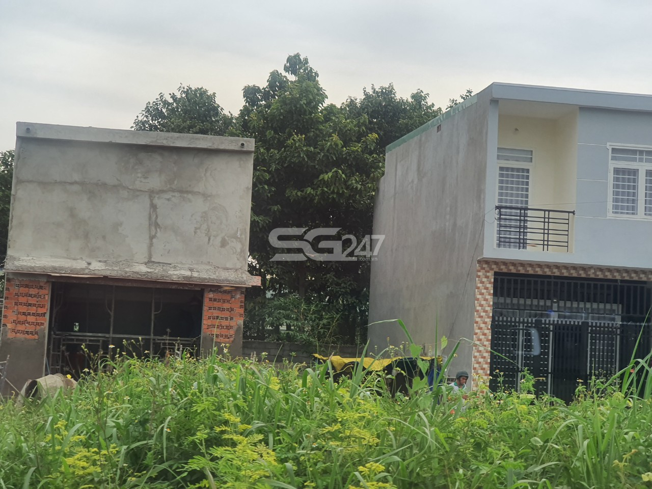 Các căn nhà đang được xây dựng trên đất lúa tại khu đất thuộc tờ 77.