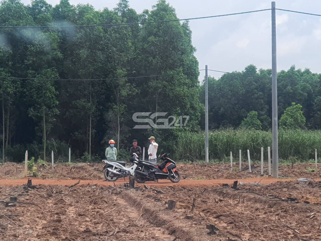 Tại các thửa còn lại của cả khu đất cũng đã được đầu tư hạ tầng trái phép (tạo nền đường đi, trồng trụ kéo điện) phục vụ mục đích phân lô bán nền