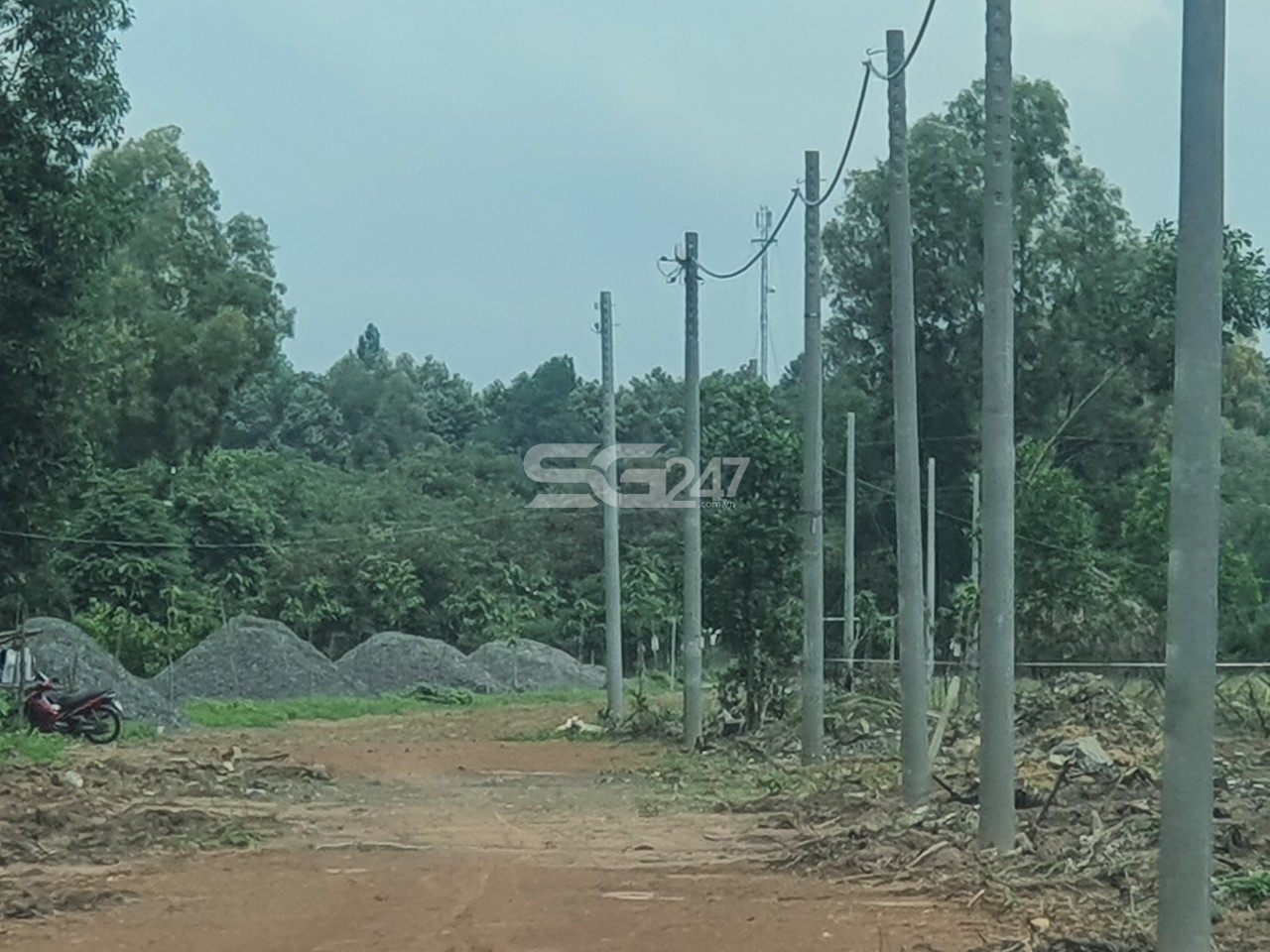 Tại các thửa còn lại của cả khu đất cũng đã được đầu tư hạ tầng trái phép (tạo nền đường đi, trồng trụ kéo điện) phục vụ mục đích phân lô bán nền