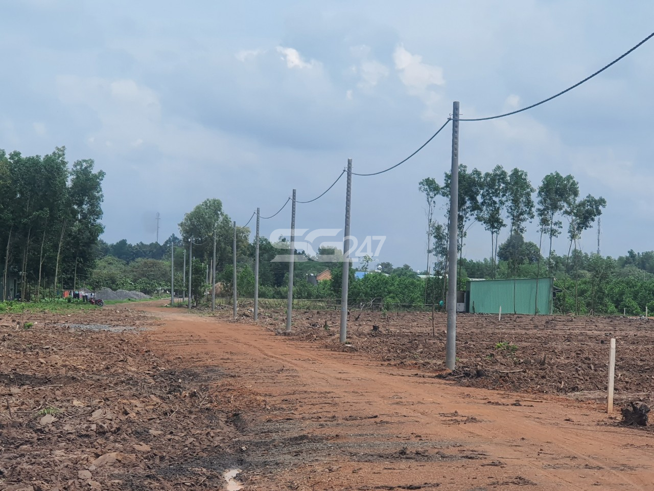 Tại các thửa còn lại của cả khu đất cũng đã được đầu tư hạ tầng trái phép (tạo nền đường đi, trồng trụ kéo điện) phục vụ mục đích phân lô bán nền