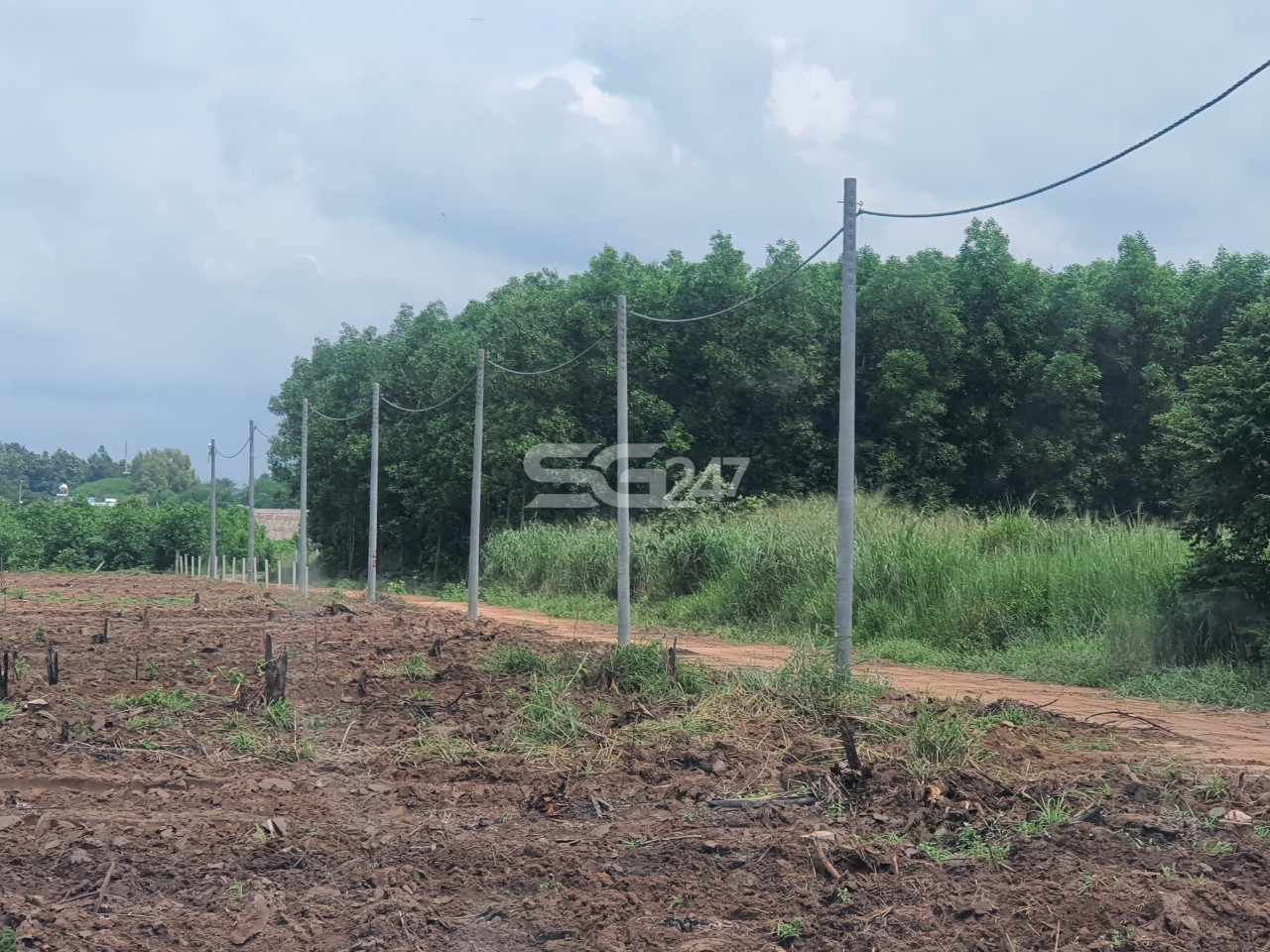 Tại các thửa còn lại của cả khu đất cũng đã được đầu tư hạ tầng trái phép (tạo nền đường đi, trồng trụ kéo điện) phục vụ mục đích phân lô bán nền