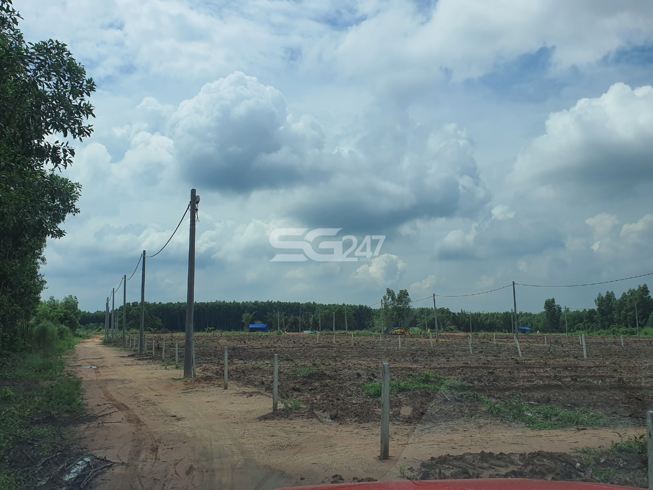 Tại các thửa còn lại của cả khu đất cũng đã được đầu tư hạ tầng trái phép (tạo nền đường đi, trồng trụ kéo điện) phục vụ mục đích phân lô bán nền
