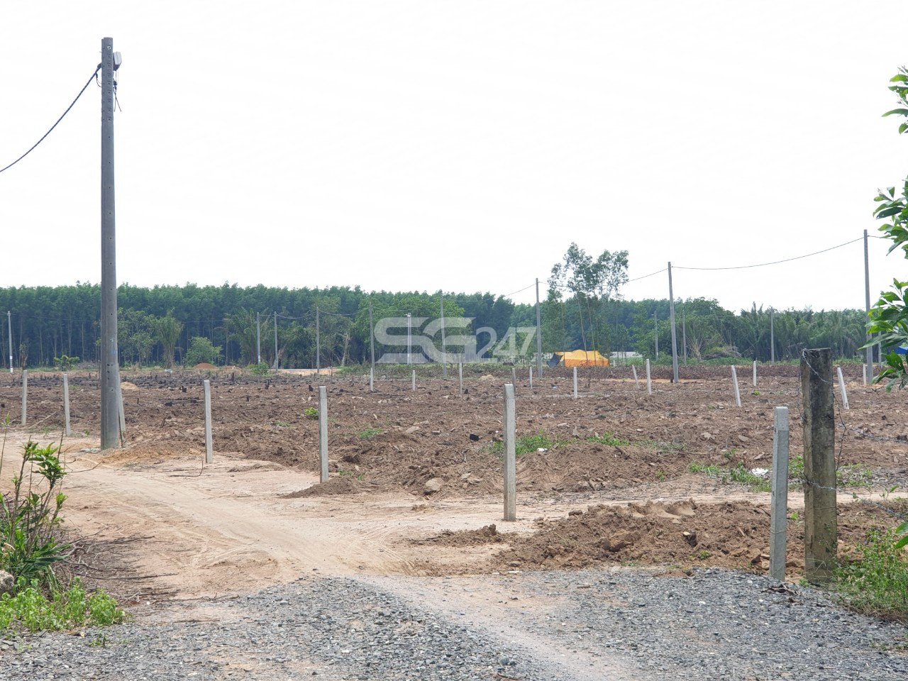 Tại các thửa còn lại của cả khu đất cũng đã được đầu tư hạ tầng trái phép (tạo nền đường đi, trồng trụ kéo điện) phục vụ mục đích phân lô bán nền