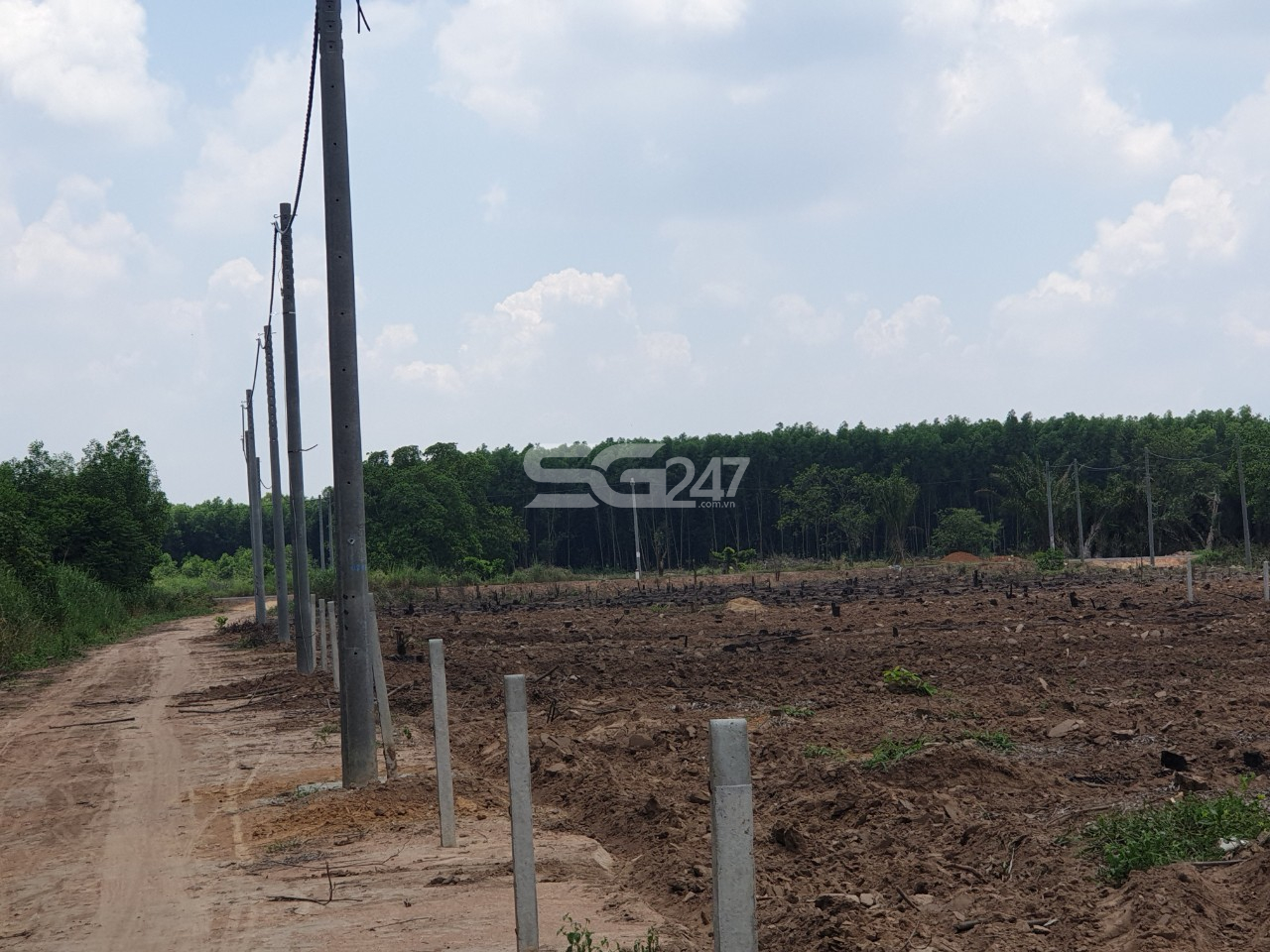 Tại các thửa còn lại của cả khu đất cũng đã được đầu tư hạ tầng trái phép (tạo nền đường đi, trồng trụ kéo điện) phục vụ mục đích phân lô bán nền