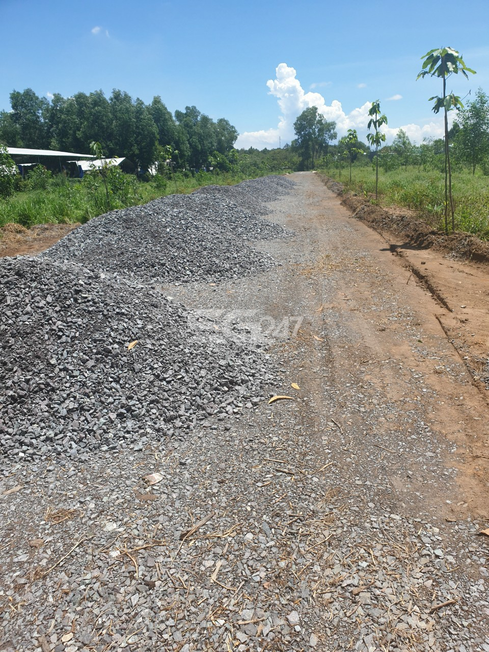Đoạn đường xây dựng trái phép tại thửa 118
