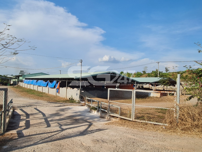 Trại đồng tâm quy mô 120.000 con gà, diện tích chuồng trại 8.350m2 tại đường Hưng Bình, ấp Hưng Thịnh, huyện Trảng Bom, tỉnh Đồng Nai.
