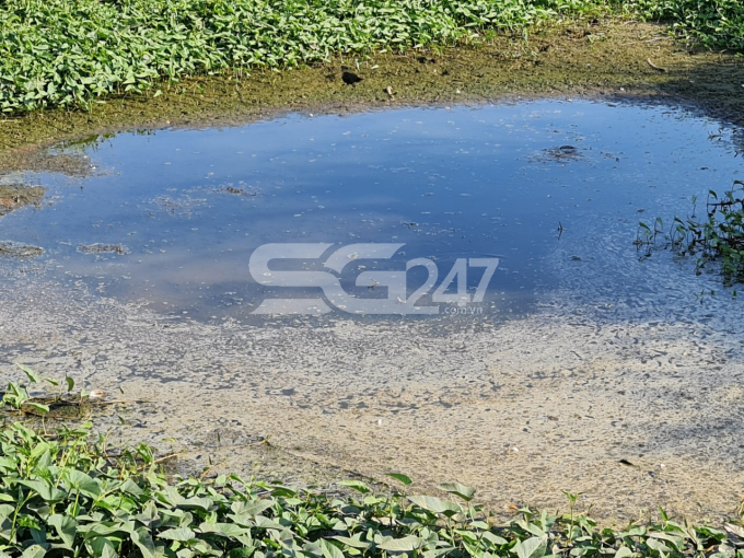Gần 1 năm kể từ ngày bị lập biên bản xử phạt vi phạm nhưng công ty Đồng Tâm hiện vẫn chưa thực hiện xong biện pháp khắc phục hậu quả, theo người dân quanh khu vực thì trại chăn nuôi gà của Đồng Tâm từ đó đến nay vẫn ngày đêm phát ra mùi hôi thối, xả khói thải có mùi khét, và định kì mỗi khi gà xuất chuồng, công ty Đồng Tâm lại ngang nhiên xả nước thải trực tiếp ra môi trường. (Hình ảnh ghi nhận vào 2/3/2021).