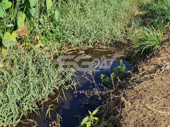 Gần 1 năm kể từ ngày bị lập biên bản xử phạt vi phạm nhưng công ty Đồng Tâm hiện vẫn chưa thực hiện xong biện pháp khắc phục hậu quả, theo người dân quanh khu vực thì trại chăn nuôi gà của Đồng Tâm từ đó đến nay vẫn ngày đêm phát ra mùi hôi thối, xả khói thải có mùi khét, và định kì mỗi khi gà xuất chuồng, công ty Đồng Tâm lại ngang nhiên xả nước thải trực tiếp ra môi trường. (Hình ảnh ghi nhận vào 2/3/2021).