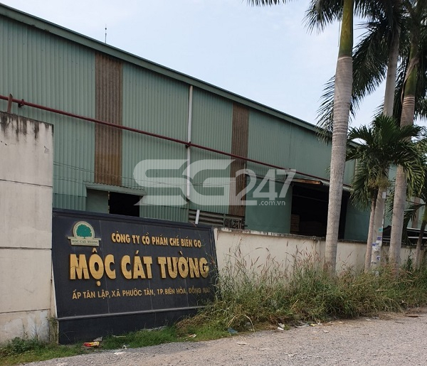 Hình ảnh thực tế nhà xưởng trên đất cây lâu năm của công ty TNHH Kỹ Thuật Công Nghiệp An Phát tại thửa 168 tờ bản đồ số 9 phường Phước Tân có diện tích 5.002,5m2 đất trồng cây lâu năm do ông Hoàng Thế Kỷ là chủ sử dụng