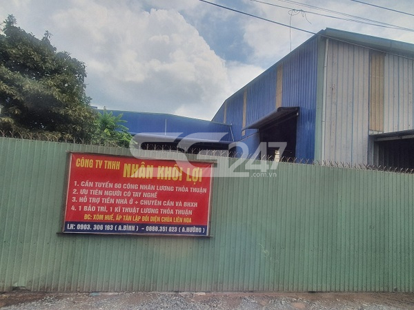 Hình ảnh thực tế nhà xưởng trên đất nông nghiệp của công ty Nhân Khôi Lợi tại tờ bản đồ số 9 phường Phước Tân các thửa 169 diện tích 2.621,4m2, thửa 170 diện tích 1.250m2 và thửa 115 diện tích 723,1m2 cùng đất trồng cây lâu năm, thửa 161 diện tích 2046m2 đất chuyên trồng lúa đều do ông Trương Bình là chủ sử dụng