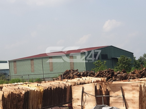 Hình ảnh thực tế nhà xưởng của công ty TNHH Tân Trung Nghĩa được xây dựng trên đất rừng sản xuất tại thửa 177 tờ 10, phường Phước Tân do ông Vũ Văn Trung đứng tên chủ sử dụng